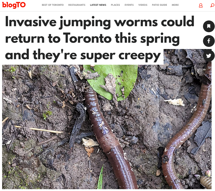 Coming soon to a backyard or forest near you: the invasive Asian