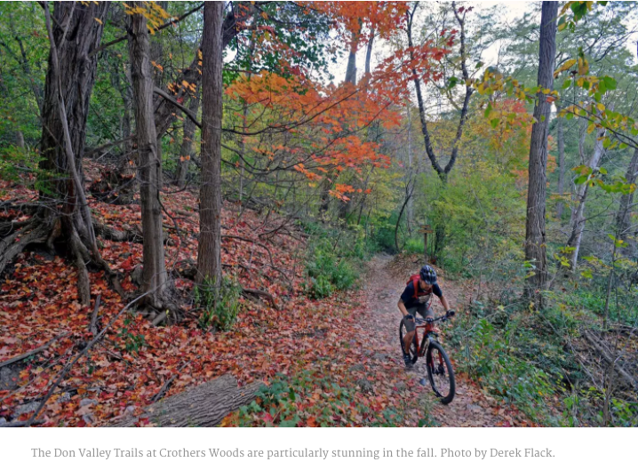 多伦多哪里骑车最美？这十个地点绝对令你难忘