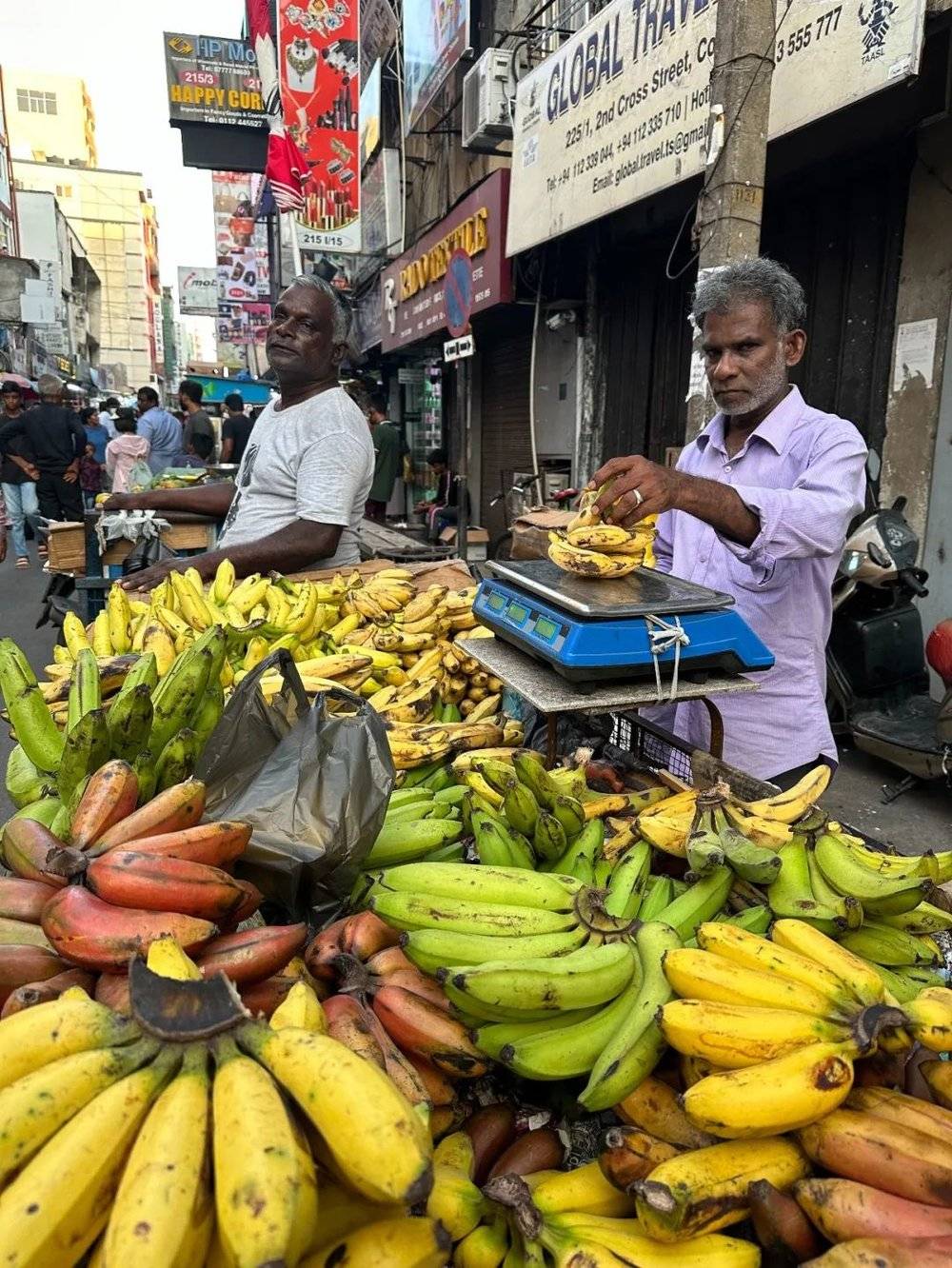 最近去斯里兰卡的人，钱包差点被掏空- 综合新闻- 加拿大新闻- 约克论坛